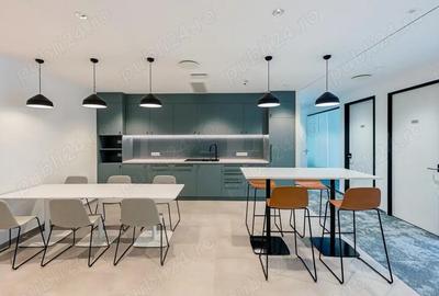 Spa?iu de birou privat pentru 1 persoana in Regus Sun Business Centre - 6