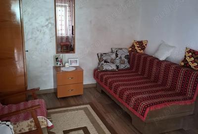 Casă cu 3 camere cu Teren 434 Mp în Ceremac - 10