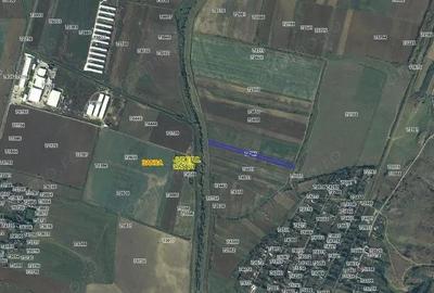 Teren Extravilan Banca, ID: R2805492 - 6