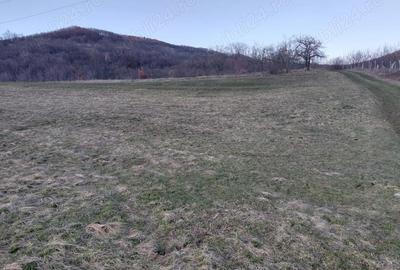 Teren de 4090 mp, în Cozia - 4