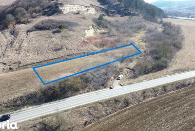 Teren de 2000 mp, în Moșna - 10