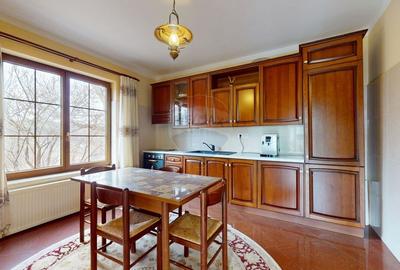 Casă cu 6 camere cu Teren 10331 Mp în Sohodol - 6