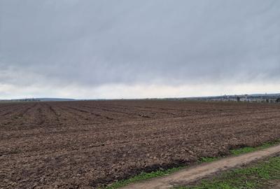 Teren 10,000mp Bacau / Strada Alexandru Safran - 9