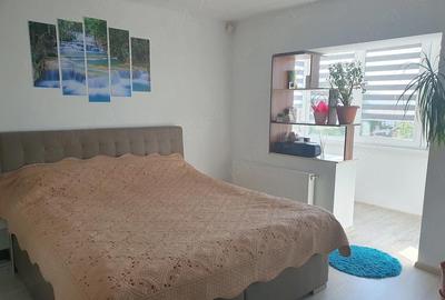Apartament cu 4 camere decomandat în Noua - 4