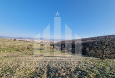 Teren Construcții intravilan de 1808 mp, în Cetate - 5