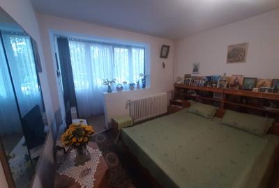 Drumul Taberei, Parc Moghioros - 4