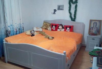 Casă cu 4 camere în Odaia Manolache - 9