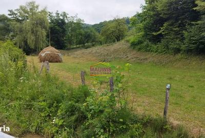 Teren de 1659 mp, în Vărbila - 3