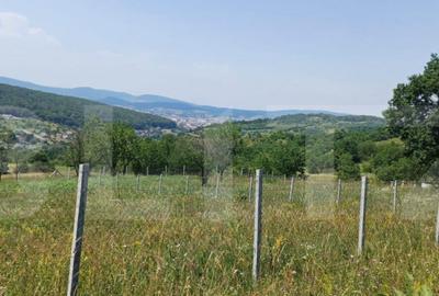 Teren extravilan de 1000 mp, situat pe strada Ghinzii - 3