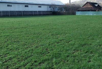 Spațiu comercial, în Vermești - 2