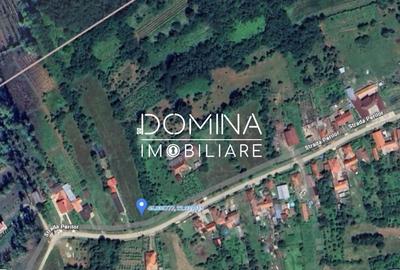 Teren Construcții intravilan de 2948 mp, în Tismana - 10