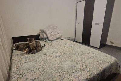 Apartament cu 4 camere decomandat în Central - 7