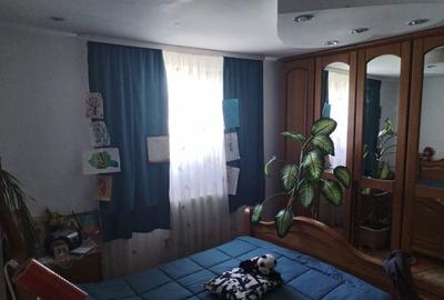 Casă cu 2 camere în Bradu - 8