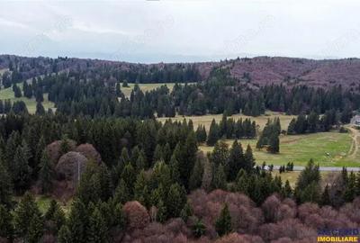 Teren de 1000 mp, în Poiana Brașov - 15