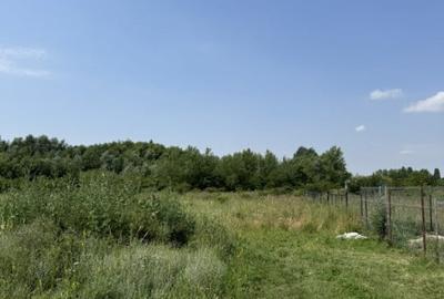 Domnesti - Strada Salciei - Teren intravilan 500 mp x 2 loturi - 4