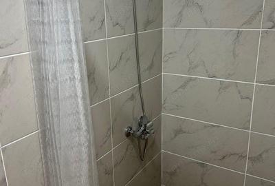 Inchiriem garsoniera Pantelimon - 2