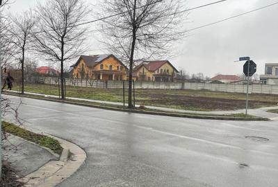 Spațiu comercial, în Paleu - 11