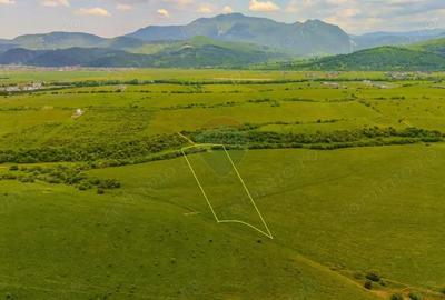 Teren de 10800 mp, în Râșnov - 13