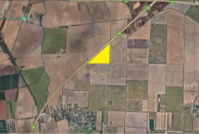 TUNARI - Dimieni, 50.000 mp. teren cu potential ridicat - 2