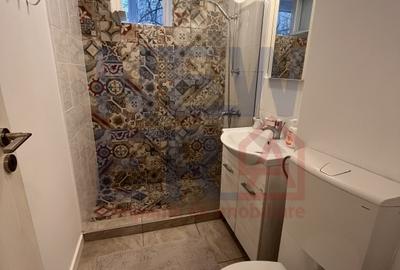 Apartament cu 2 camere semidecomandat, mobilat în Drumul Taberei - 7