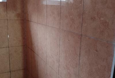 Garsonieră nedecomandată în Rahova - 3