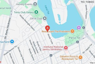 Apartament cu 3 camere decomandat în Teiul Doamnei - 17