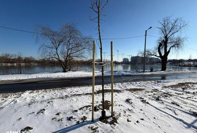 Casă cu 4 camere cu Teren 310 Mp în Tei