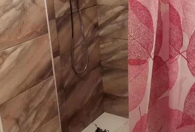 Se ofera spre inchiriere garsoniera in zona Dristor - 1