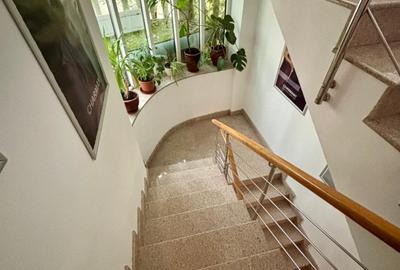 Vila  de inchiriat 11 camere  D+P+2 Timpuri noi 12 locuri de parcare 500 mp util - 27