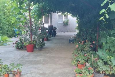 Casă cu 4 camere cu Teren 4300 Mp în Chirnogi - 3