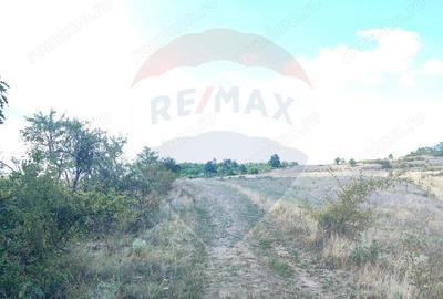 Teren de 834 mp, în Lugoj