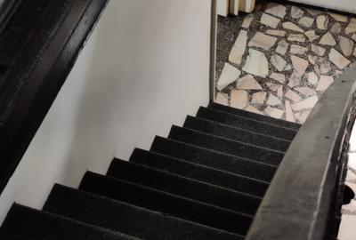 Casă individuală cu 4 camere cu Canalizare în Parcul Carol - 9