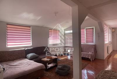 Casa individuala in Liebling - 10