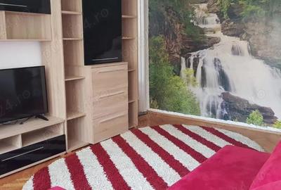 2 cam Calea Girocului Spital Judetean parter cu Centrala gaz - 4