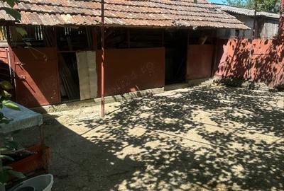 Casă cu 5 camere cu Teren 2500 Mp în Tăut - 9