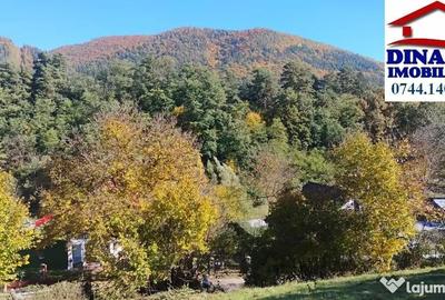 Teren de 3600 mp, în Alexandru cel Bun - 6