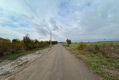 Darvari Ciorogarla Str Tineretului 2 loturi 500 mp zona in dezvoltare - 11