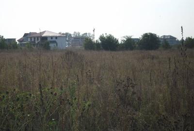 Teren 1,25 ha intravilan - 2