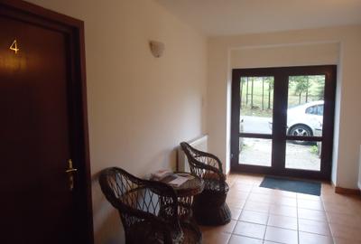Predeal-Apartament mobilat si utilat - 3