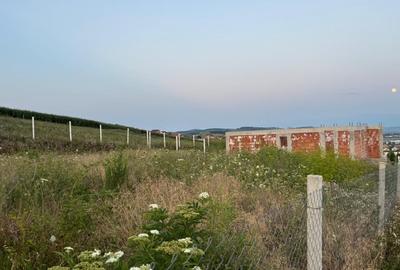 Vand Teren, Sura Mare, 451 mp - 1