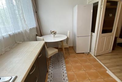 Garsonieră decomandată în Dosu Bricii - 3