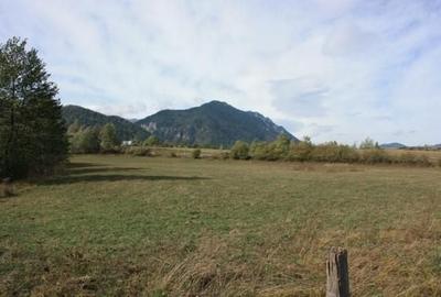 Spațiu comercial, în Drumul Carului - 1