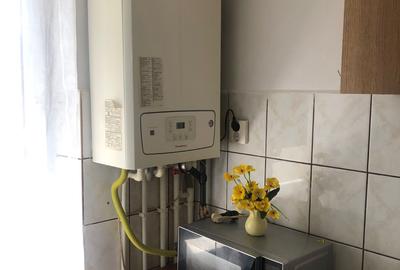 Apartament cu 2 camere, mobilat în Brotăcei - 17