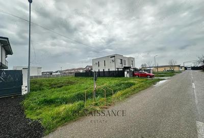 Mosnita Teren 809mp Front 17.5m | Utilitati + Asfalt - 3