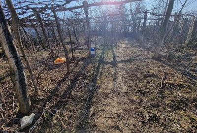 Casă cu 3 camere cu Teren 1500 Mp în Bala - 7