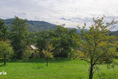 Teren de 2200 mp, în Sălciua - 2