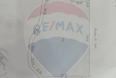 Padure stejar Racoasa - Varnita/ Drumul Varnita - 3