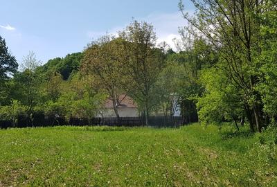 Casă individuală cu 3 camere cu Teren 3923 Mp în Govora - 9