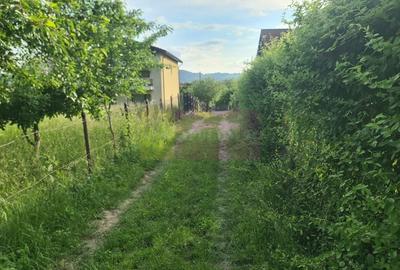 Teren Construcții intravilan de 471 mp, în Mușcel - 9