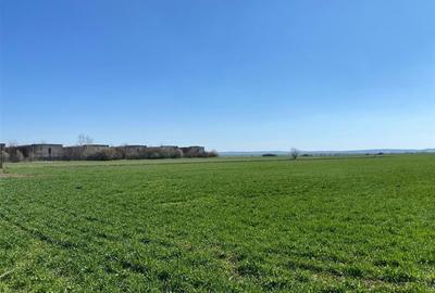 RECO Casa in  Tamaseu  18km de Oradea - 12
